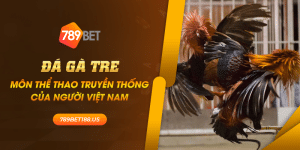 41 Da ga tre Mon the thao truyen thong cua nguoi Viet Nam